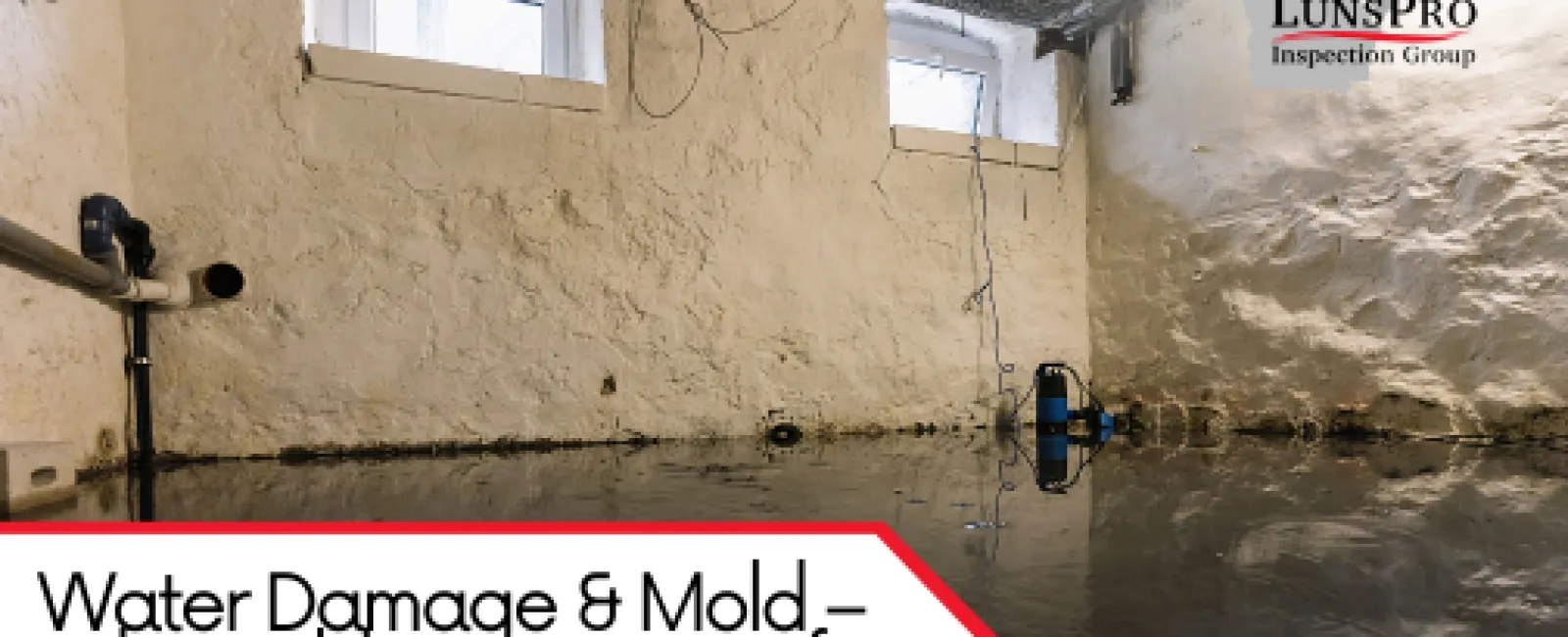 Water Damage & Mold – The Hidden Dangers of Summer Storms