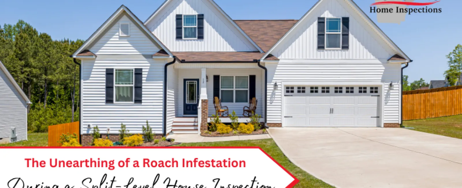 The Unearthing of a Roach Infestation During a Split-Level House Inspection
