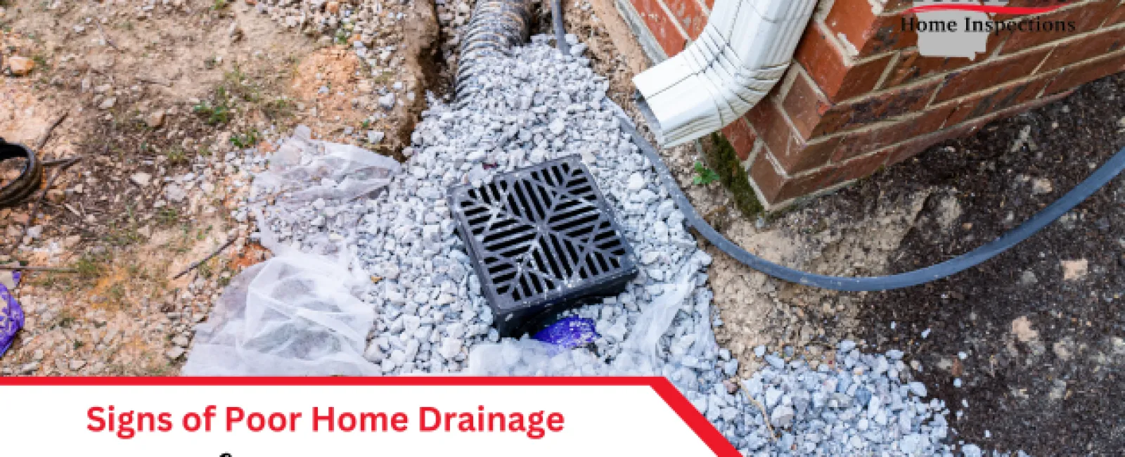 Signs of Poor Home Drainage and How to Fix It