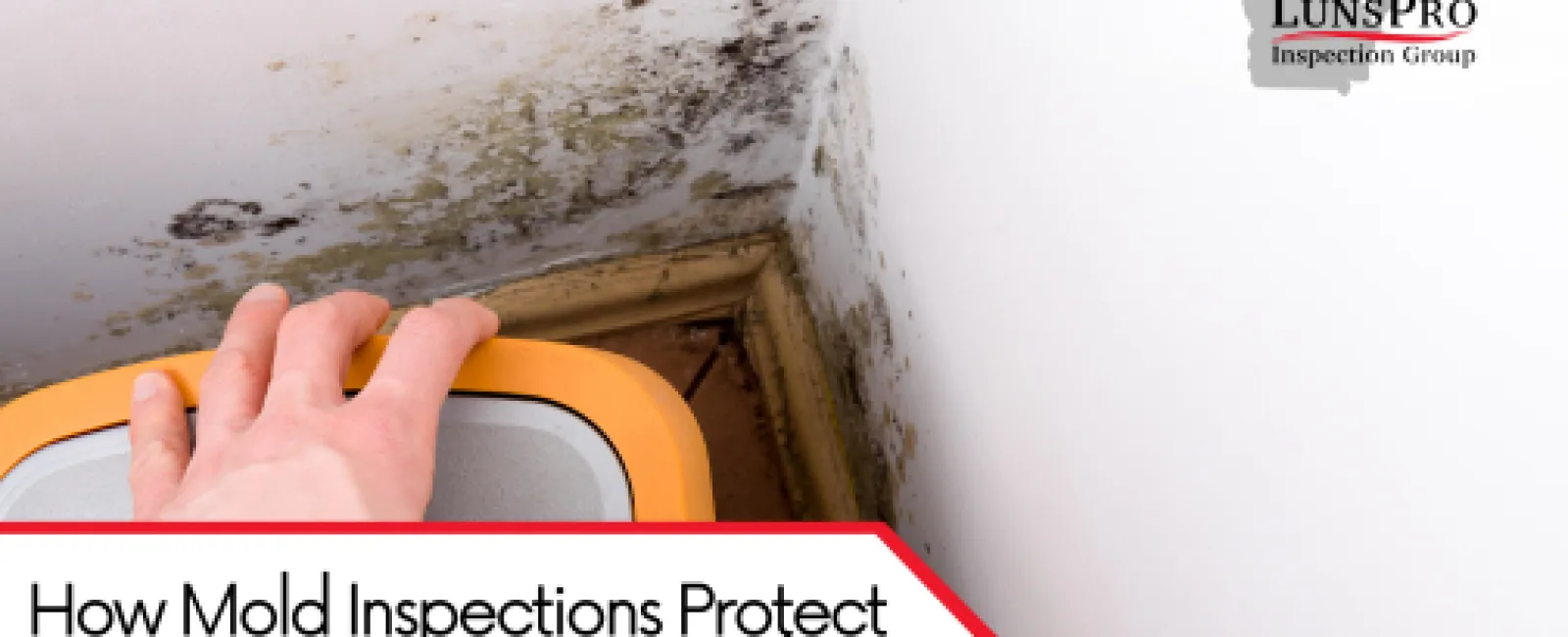 How Mold Inspections Protect Homeowners During Cooler, Wetter Months