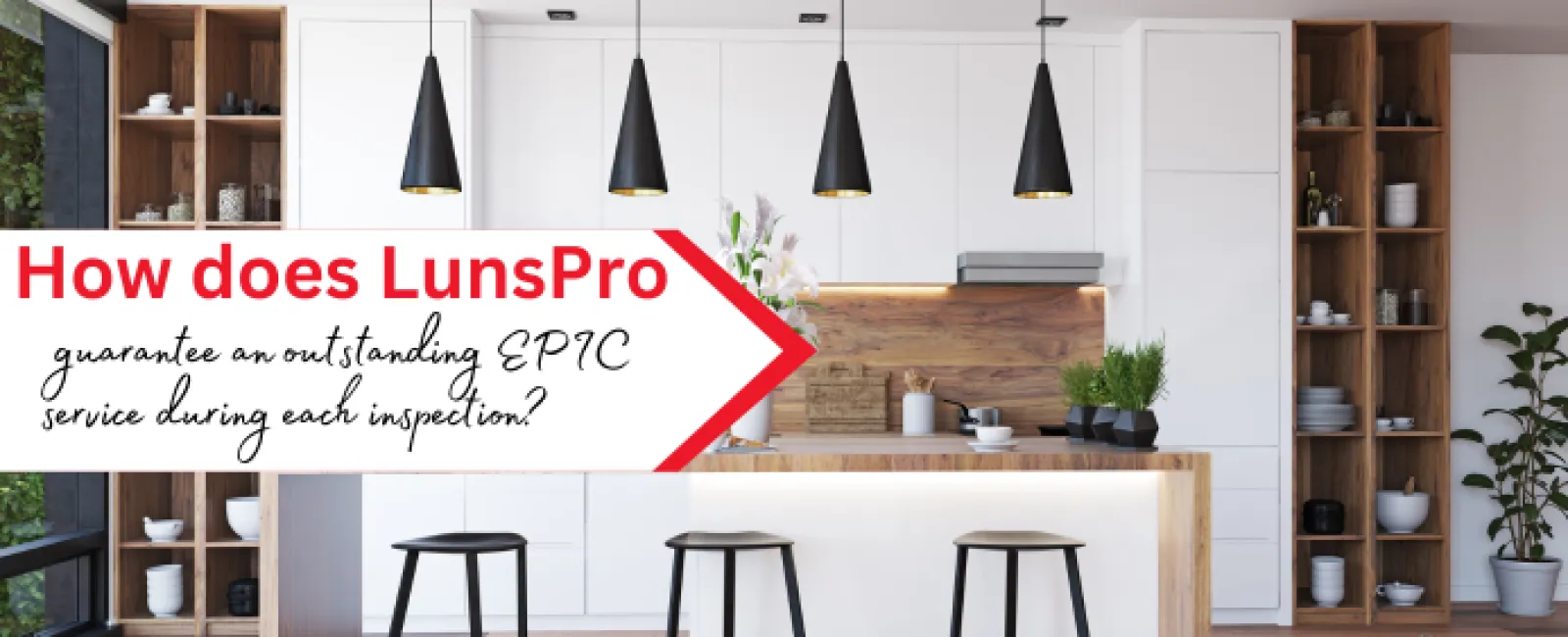 How does LunsPro guarantee an outstanding EPIC service during each inspection?