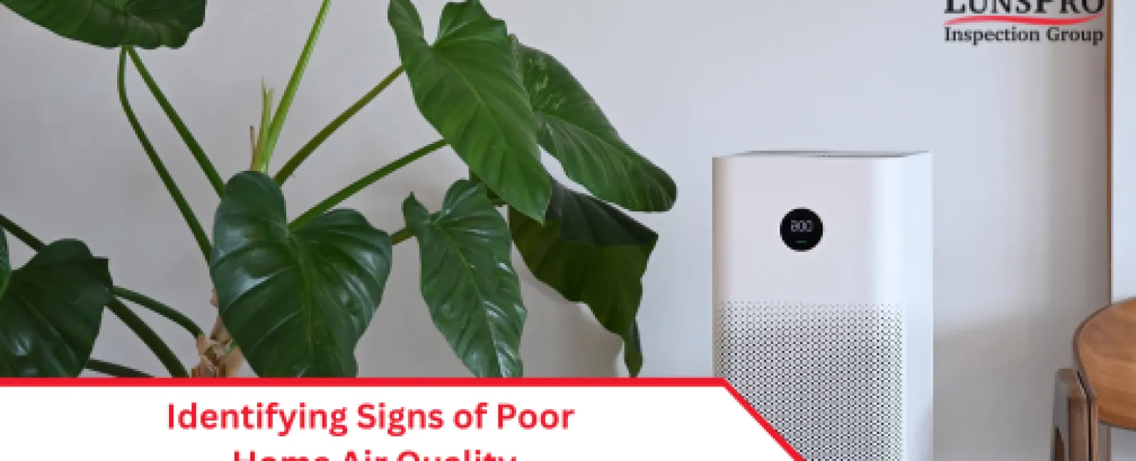 Identifying Signs of Poor Home Air Quality and How to Improve It