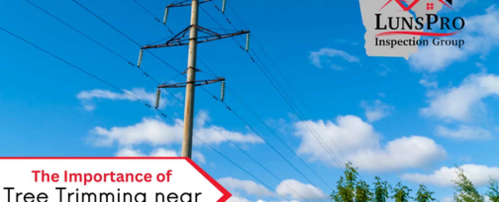 The importance of Tree Trimming near Electrical Lines