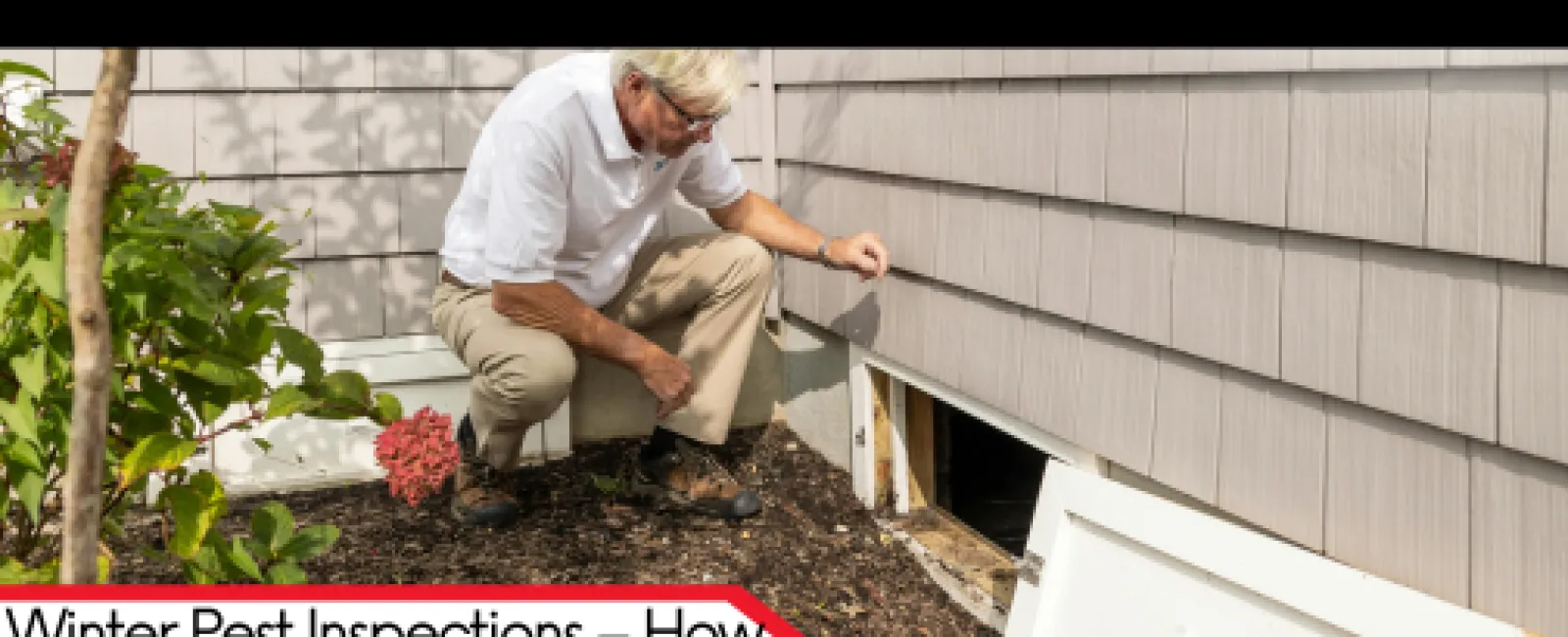 Winter Pest Inspections – How to Protect Your Home from Rodents & Termites