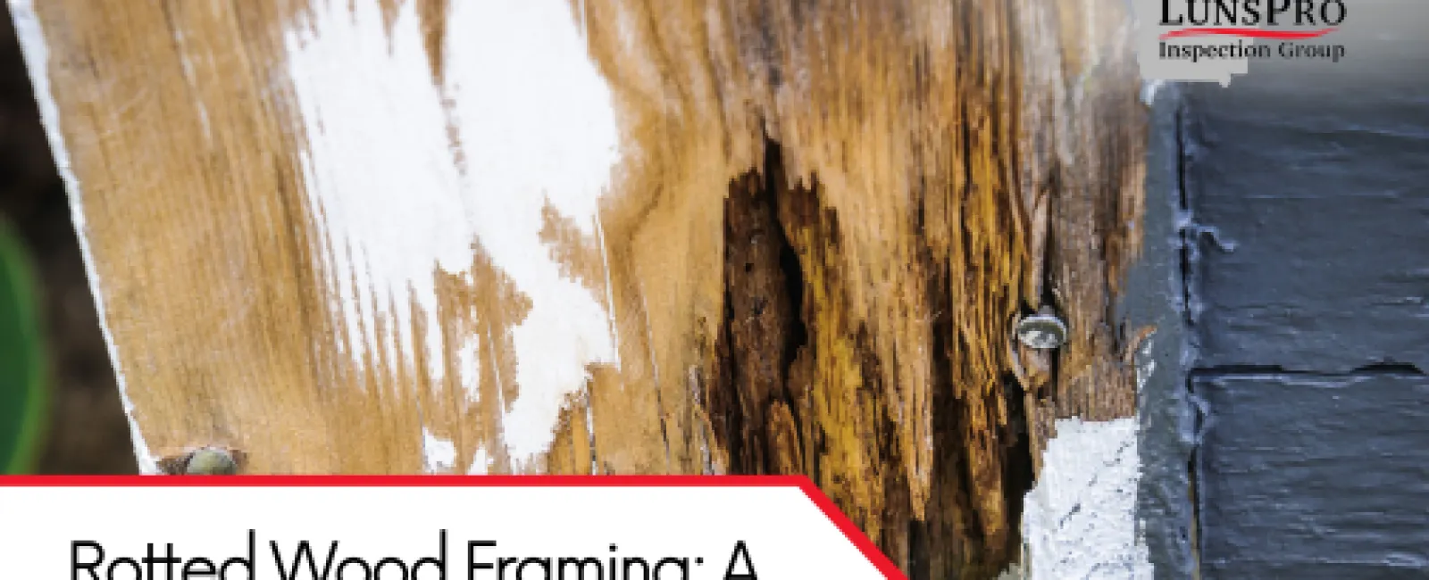 Rotted Wood Framing: A Serious Threat to Home Safety