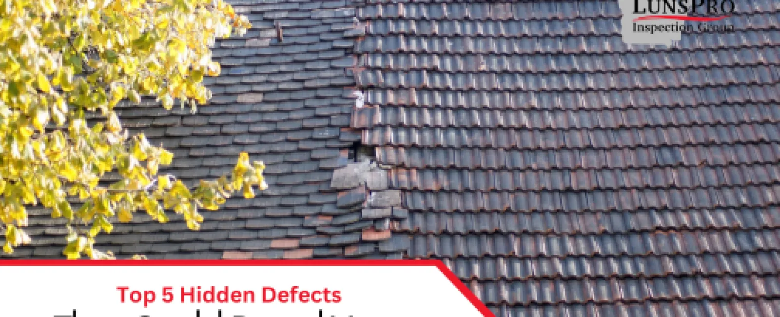 Top 5 Hidden Defects That Could Derail Your Home Purchase