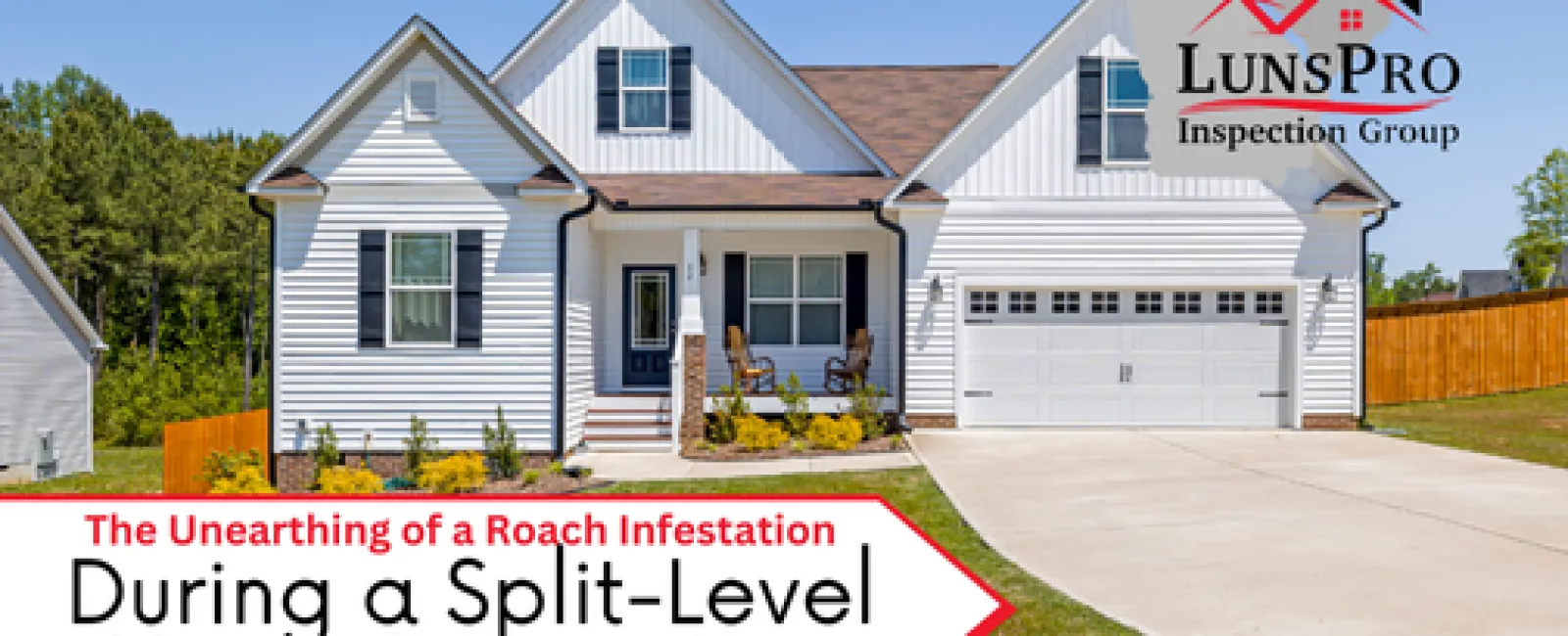 The Unearthing of a Roach Infestation During a Split-Level House Inspection