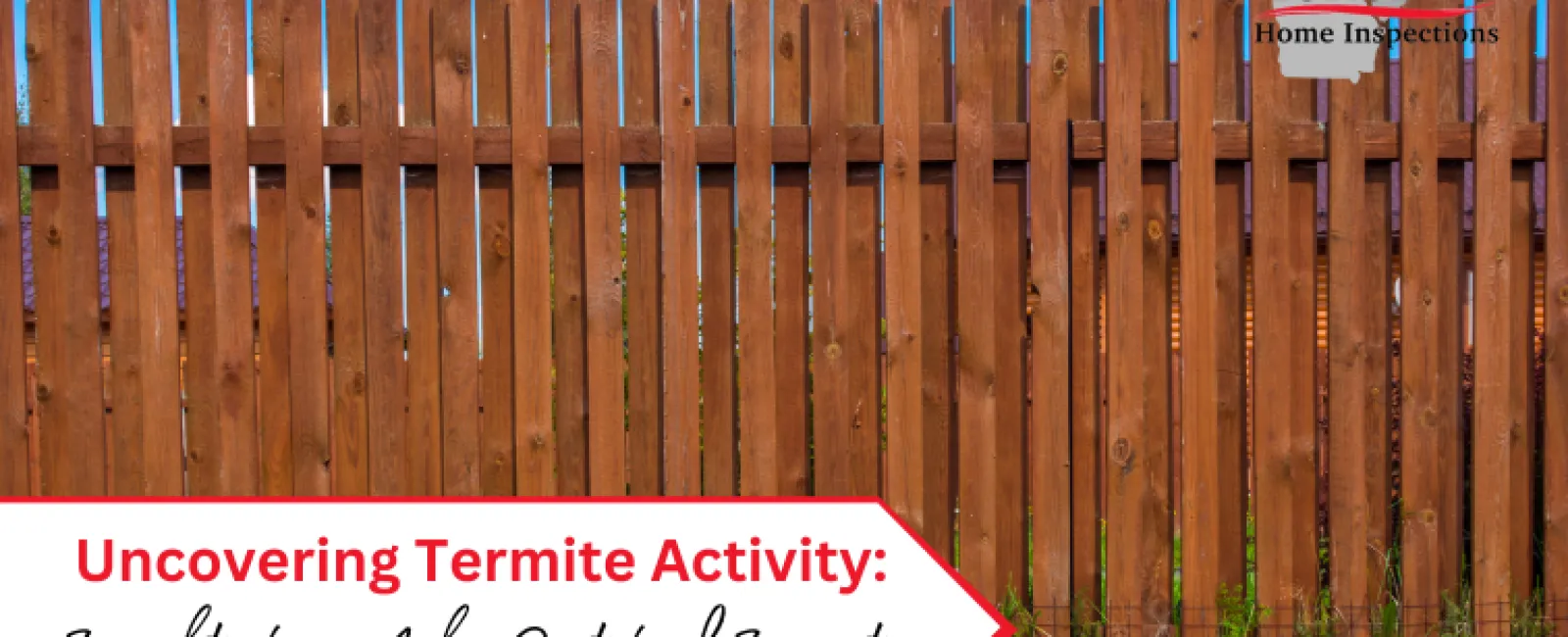 Uncovering Termite Activity