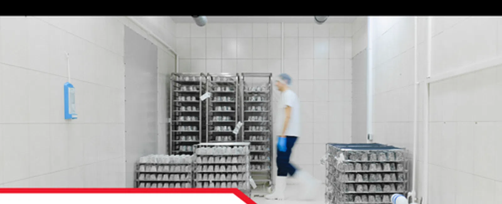 Commercial Inspections for Cold Storage Facilities