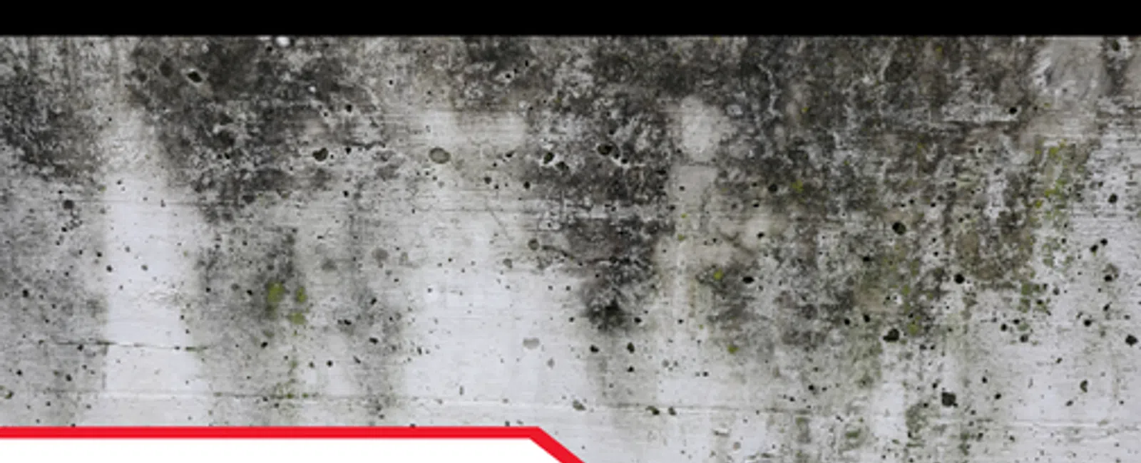 Concrete wall showing mold and moisture damage with text about commercial inspections for mold concerns.