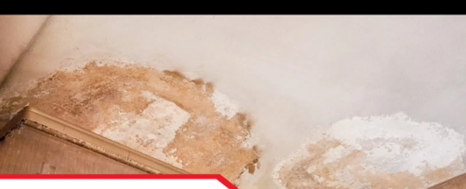 Hidden Moisture Problems in Southeastern Homes