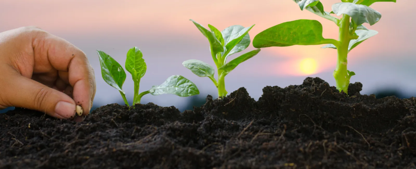 Leadership Development