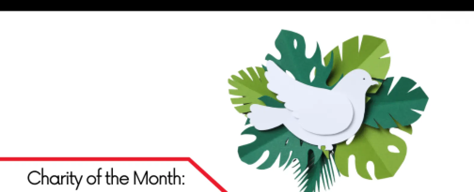 Paper dove and green leaves illustration representing peace for June 2023 charity of the month.