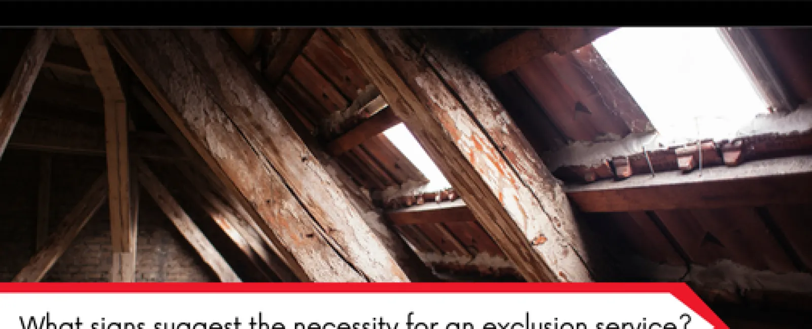 Old wooden beams and roof structure inside an attic with natural light highlighting aged wood.