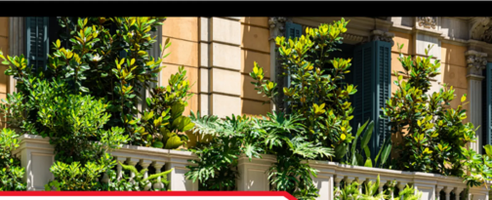 The Hidden Risks of Overgrown Vegetation Near Your Home