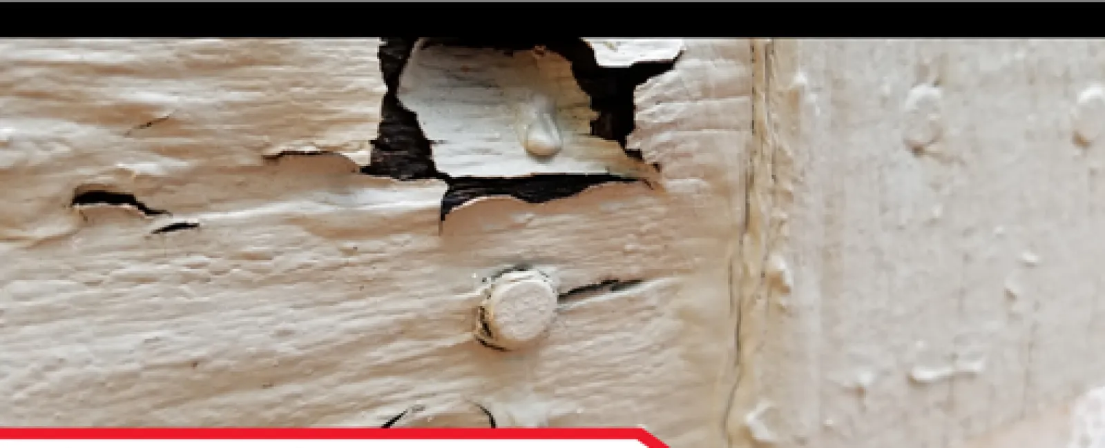 The Dangers of Water Intrusion and Hidden Wood Rot