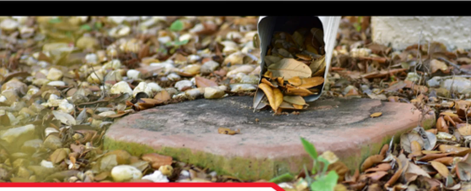 Close-up of a clogged downspout with leaves and debris surrounding a concrete base on ground.