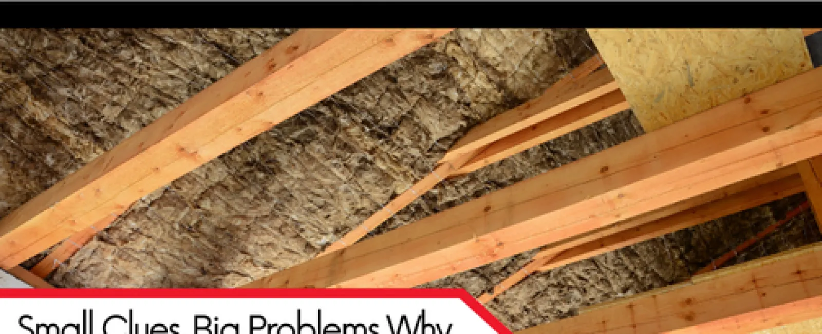 Small Clues, Big Problems – Why Rodent Damage in the Attic Is a Serious Issue