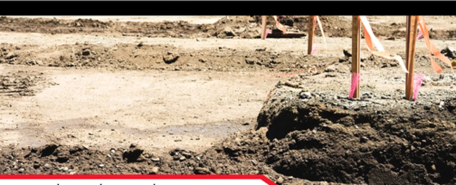 Soil Grading and Vegetation: Protecting Your Home’s Foundation