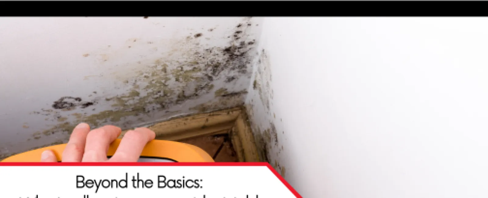 Beyond the Basics: Why Ancillary Inspections Like Mold and Air Testing Matter for Your Home