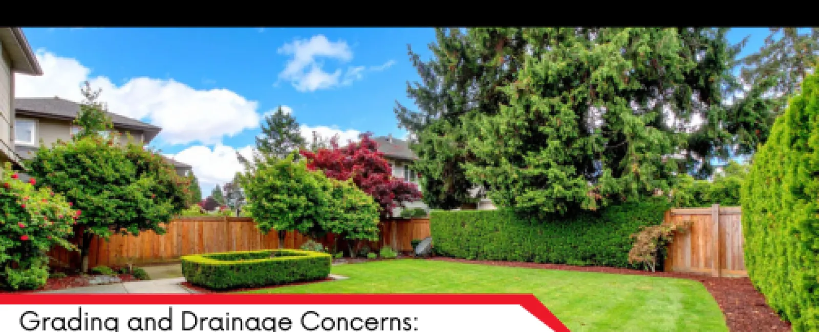 Well-maintained backyard with green lawn, trees, shrubs, wooden fence, and clear sky under bright daylight.