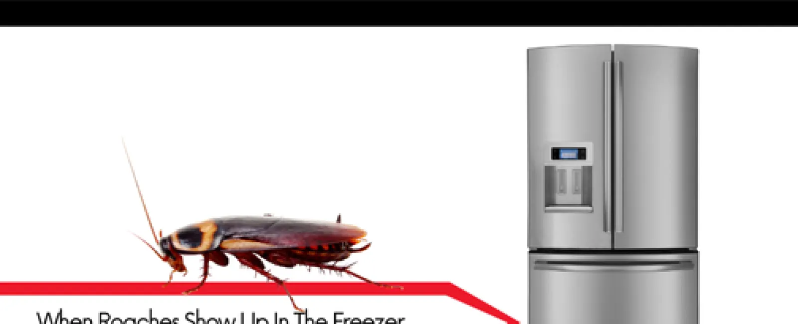 When roaches show up in the freezer