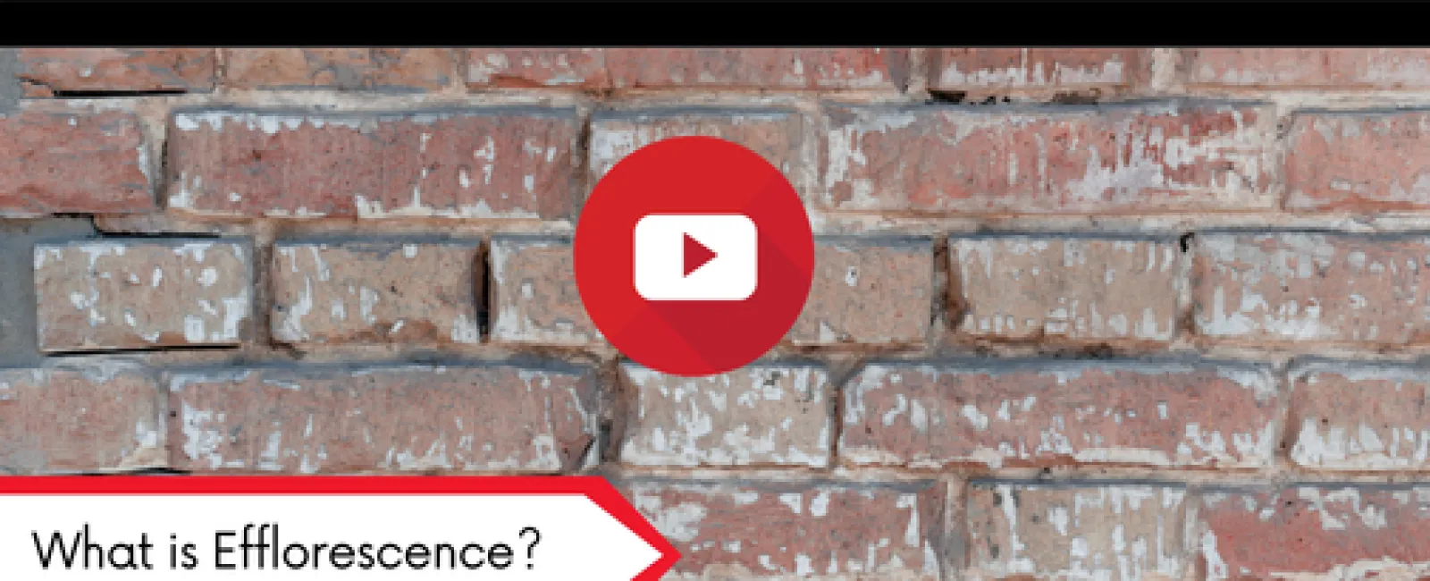 Red brick wall showing white efflorescence deposits with LunsPro Inspection Group header and play button icon.