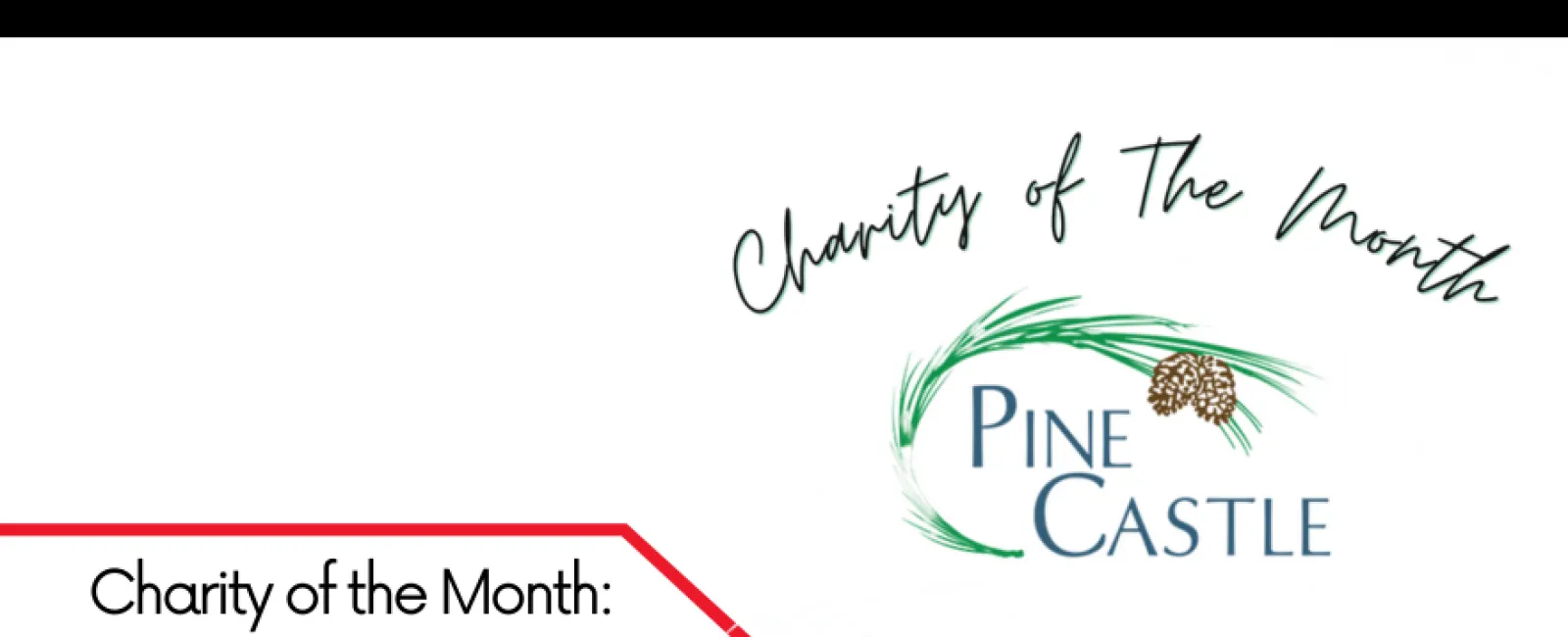 LunsPro Inspections highlights Pine Castle as Charity of the Month for March 2023 with logo and text.