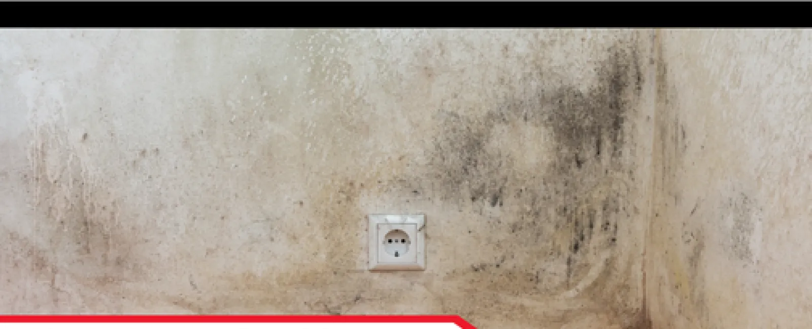 The Dangers of Mold in Winter & How Inspections Help