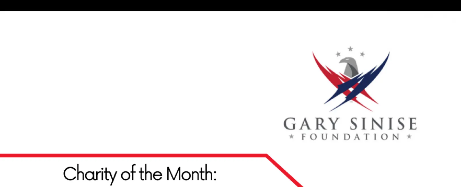 LunsPro Inspections highlights Gary Sinise Foundation as Charity of the Month for November 2021 with patriotic logo