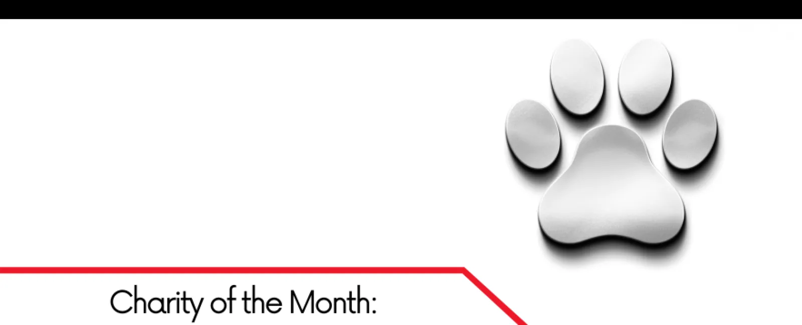 Charity of the Month October 2023 text with a white paw print and LunsPro Inspections logo on white background.