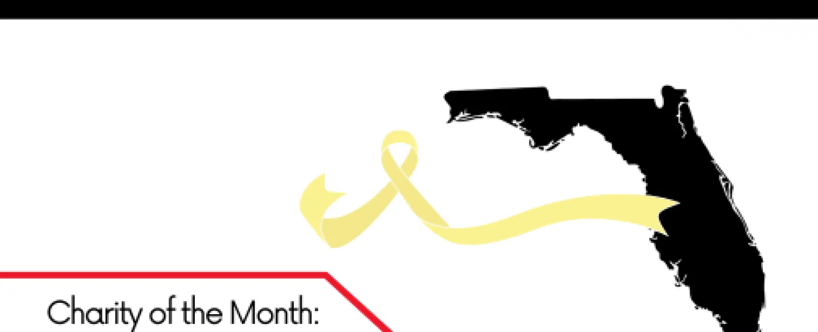 Charity of the Month August 2022 with yellow ribbon and Florida map by LunsPro Inspections logo.