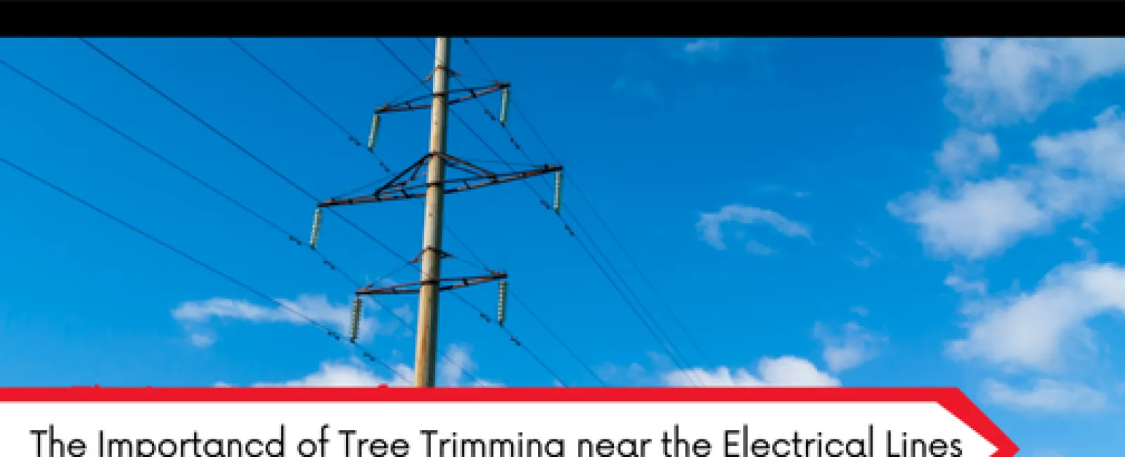 Electrical power lines with clear sky and trees, highlighting the importance of tree trimming near electrical lines.