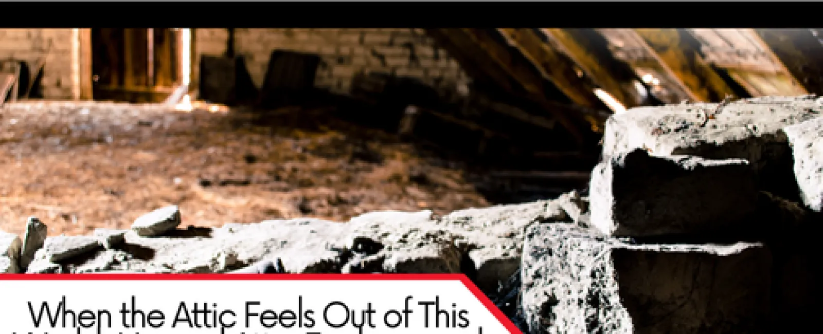 When the Attic Feels Out of This World: Unusual Attic Findings and What They Mean for Your Home
