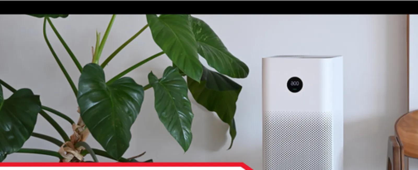 Identifying Signs of Poor Home Air Quality and How to Improve It