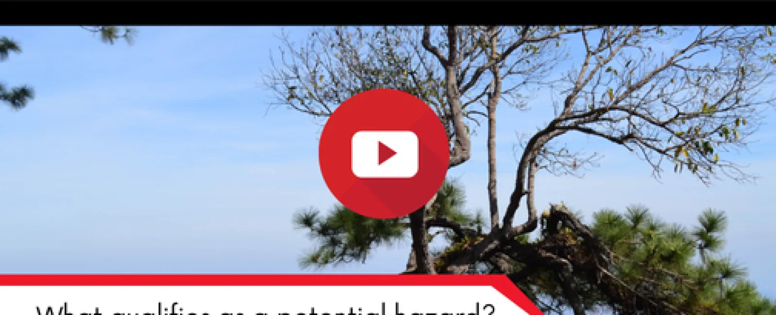 Tree branch leaning at an angle against blue sky with text overlay asking about potential hazard qualifications.