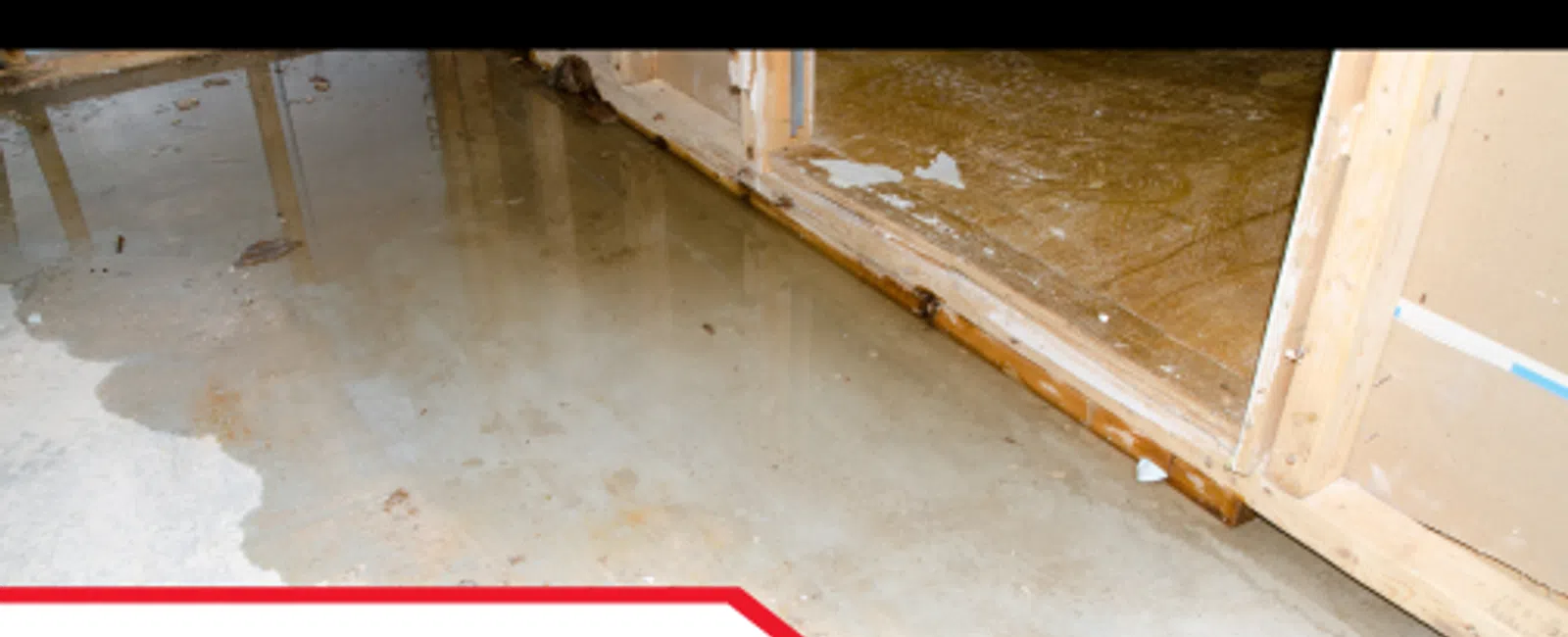 Why Basement Moisture Should Never Be Overlooked