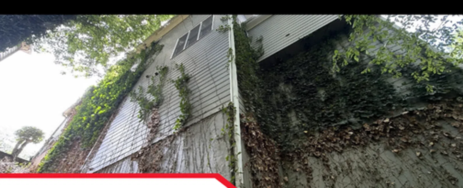 Why Home and Pest Inspections Work Better Together