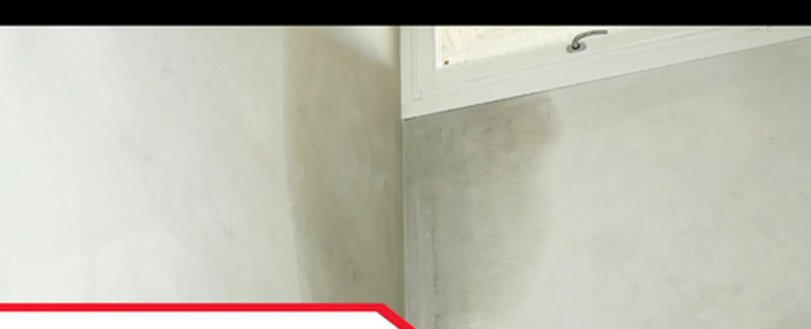 Why Moisture Intrusion Matters in Commercial Buildings