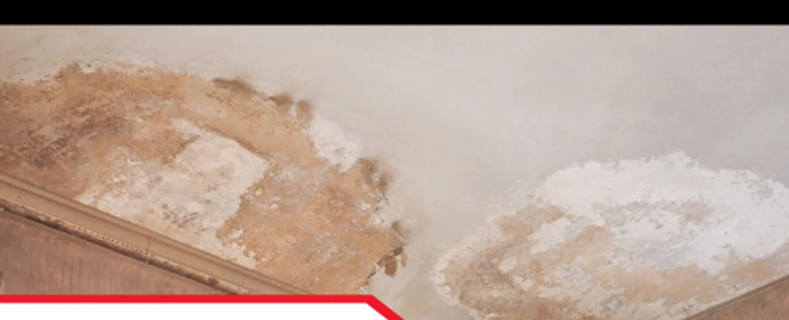 Why Moisture Intrusion Tops Southeast Inspections