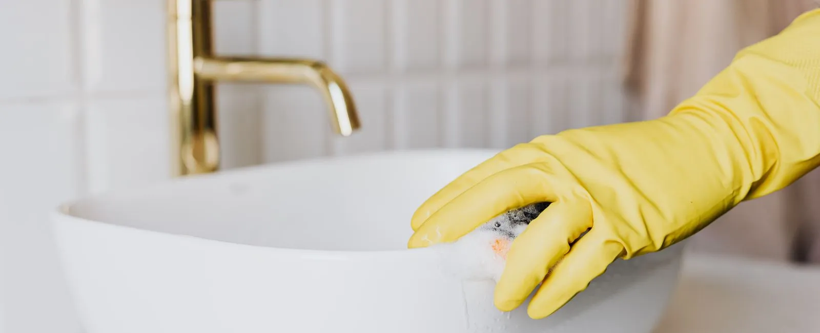 Got Drain Flies? 5 Cleaning Tips to Get Rid of Gnats, Flies & Pests