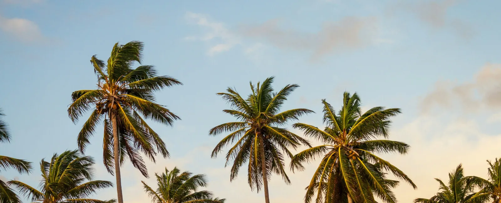 Scaling Success: MaidPro Franchisee Jonathan Serota Expands to a Second Territory