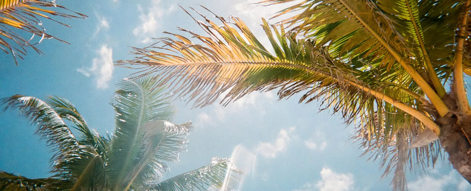 New MaidPro Franchise Ownership in Volusia County, Florida