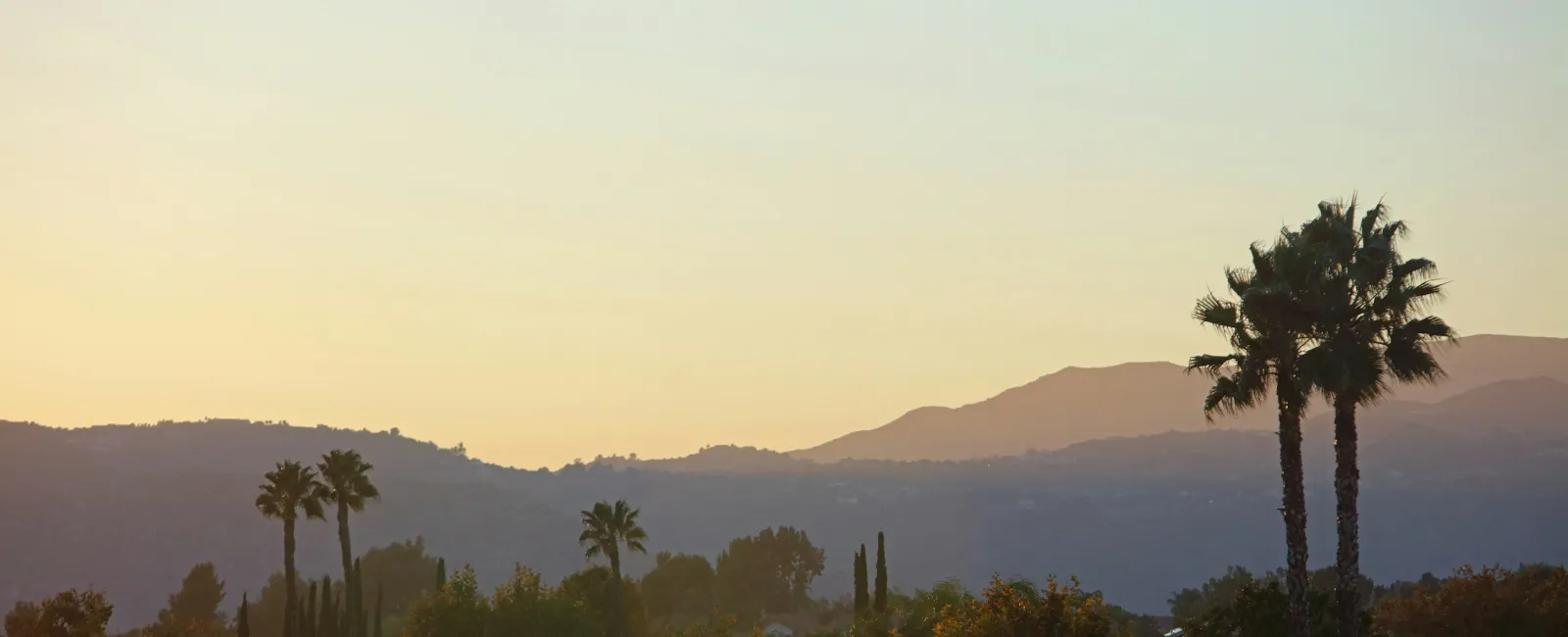 MaidPro Franchisee Spotlight: Trish Duarte