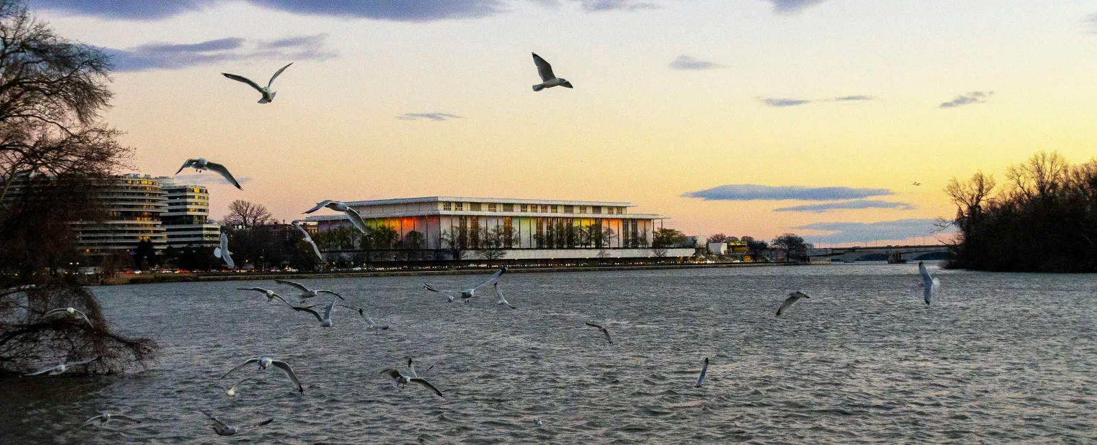 Kennedy Space Center with birds flying over water