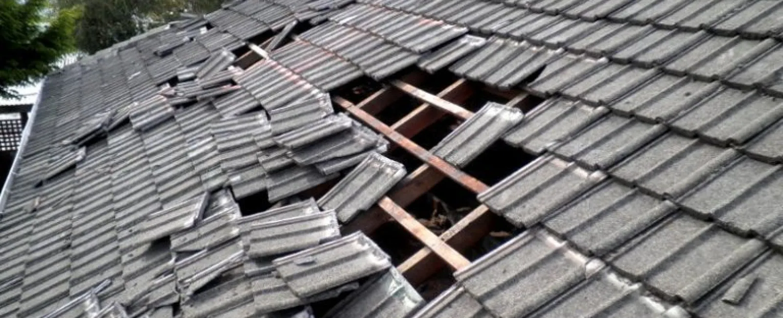Signs of Roof Damage