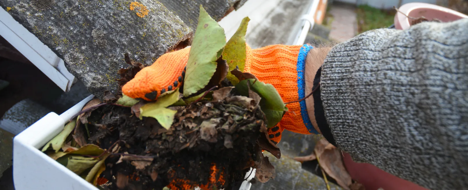 How Clogged Gutters Can Lead to Costly Roof Leaks