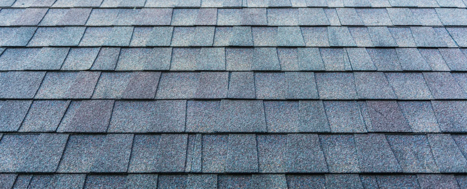Close-up of a blue-gray asphalt shingle roof featuring layered, textured rectangular shingles.