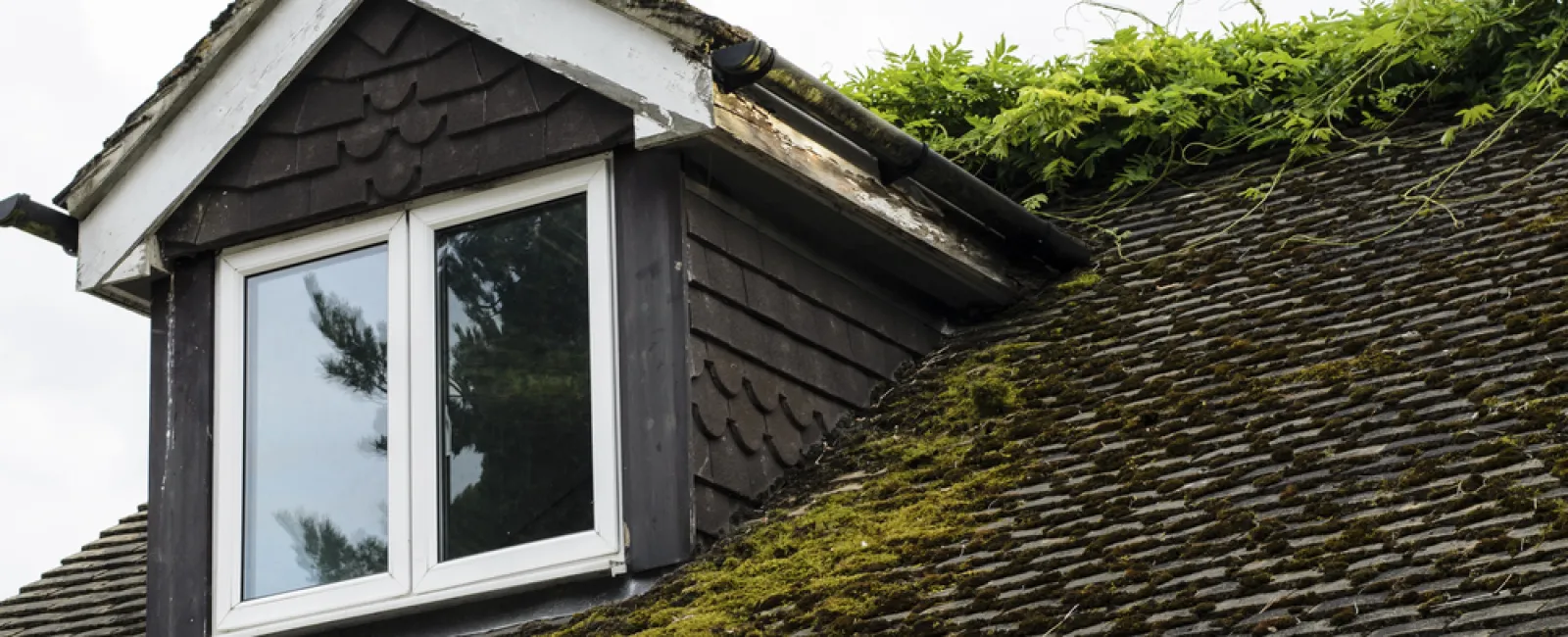 5 Signs You Need a New Roof—Going Above and Beyond Looking for Leaks