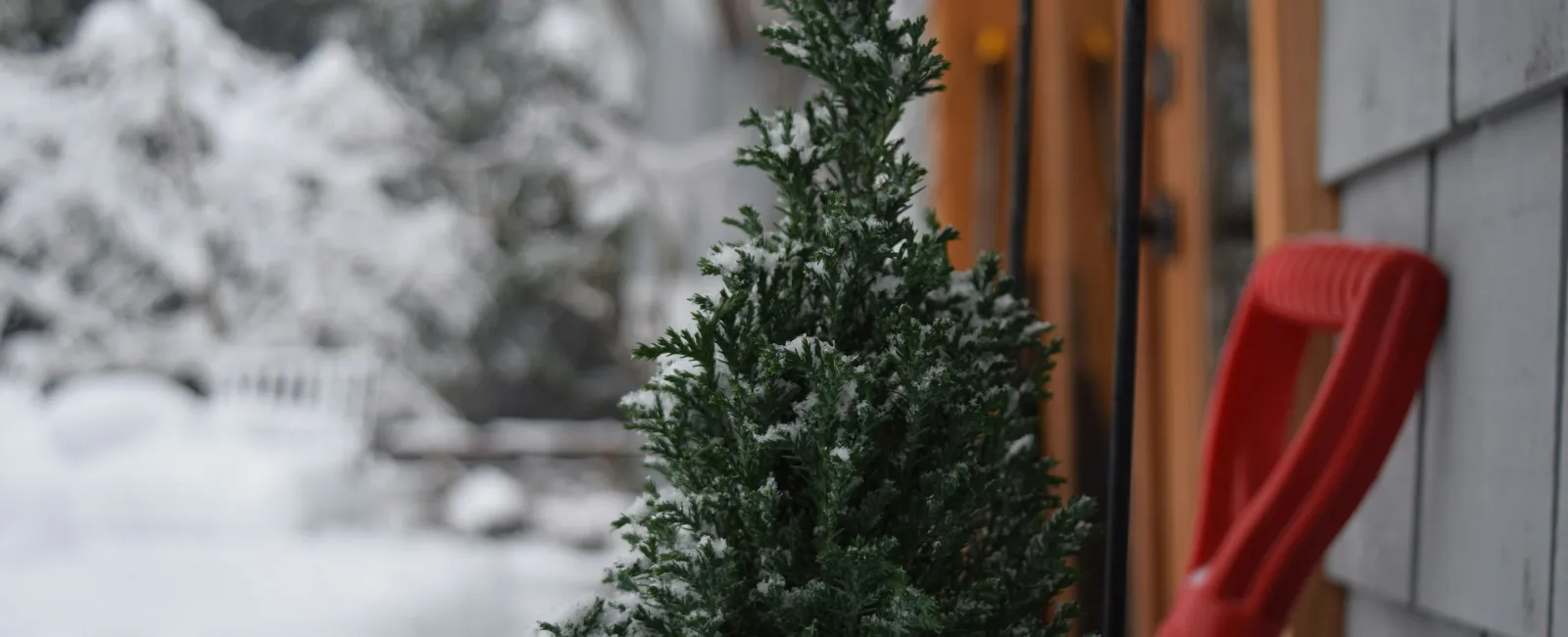 Our Franchisee Shares Winter Home Care Tips in Yahoo! Shopping